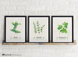 Printable Kitchen Wall Art: Culinary Herb Print Set