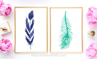 Hand-Drawn Feather Art Print Set in Three Colors