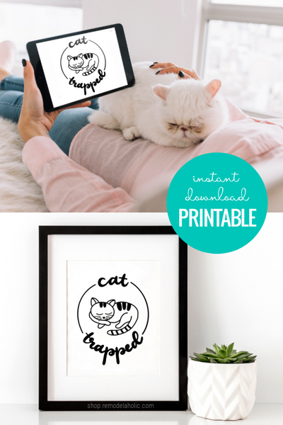 cat trapped funny art printable for cat lovers home decor