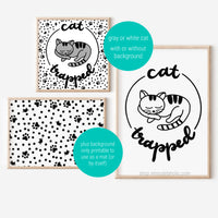 cat trapped funny cat art for cat lovers home decor