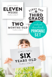 printable milestone sign set for pregnancy, baby, birthdays, and first day of school - black and white modern swirl design