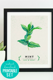 Printable Kitchen Wall Art: Culinary Herb Print Set